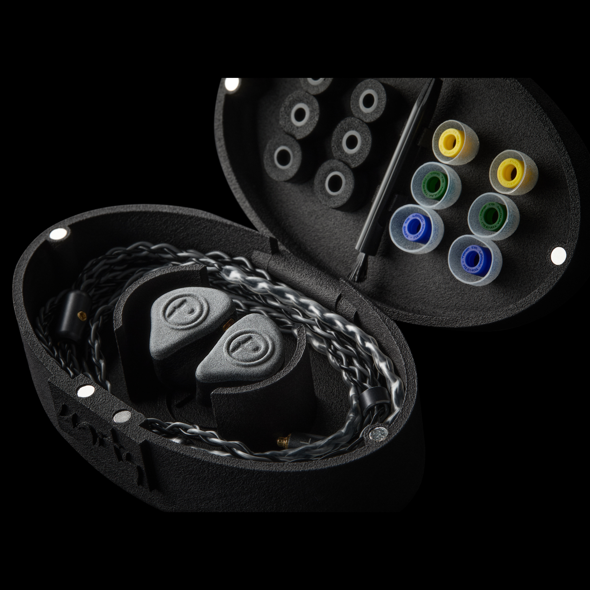 Plunge Audio Unity IEMs and case with assorted tips.