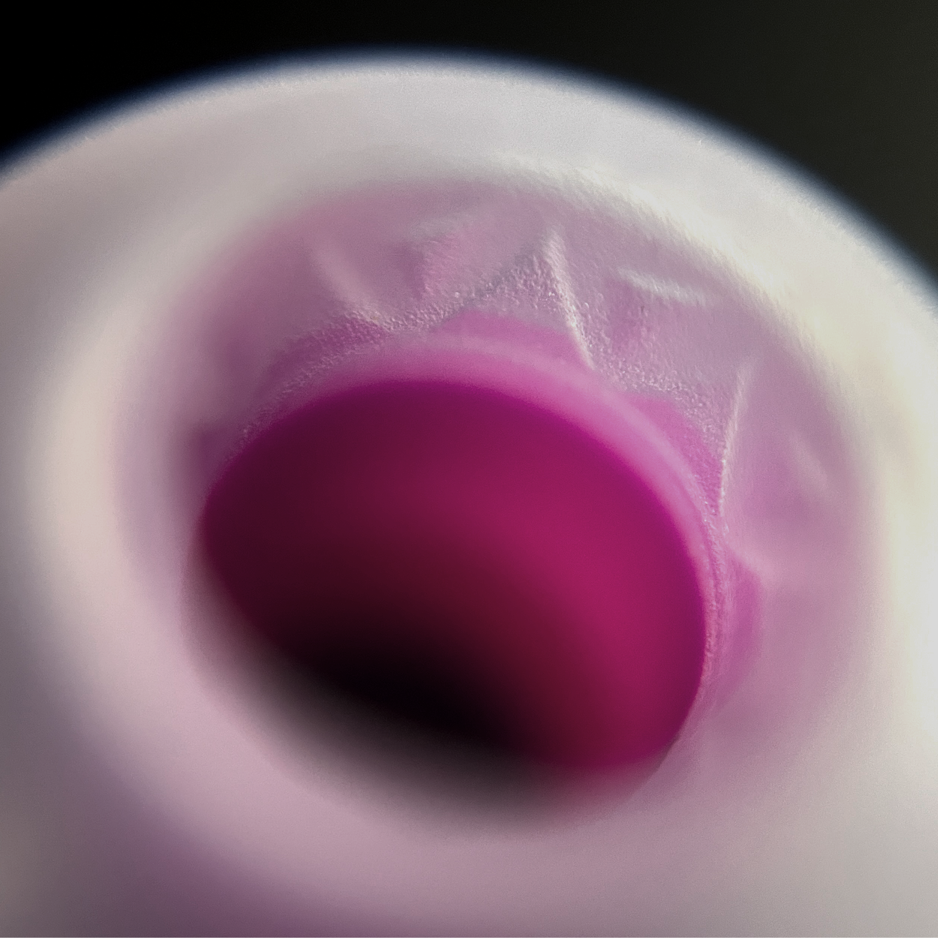 Close-up of a purple IEM tip with textured surface