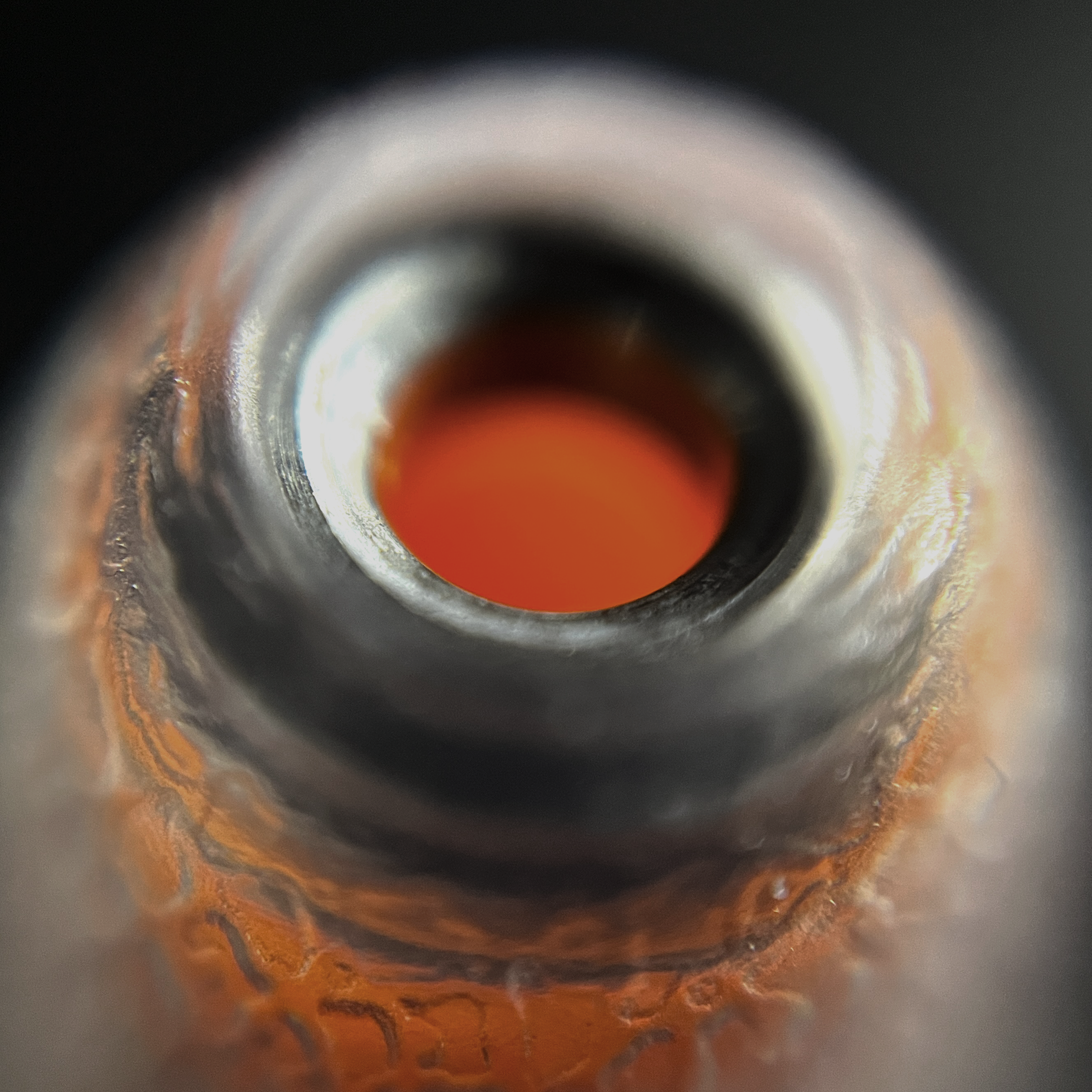 Close-up of an IEM tip with silver rim and orange body.