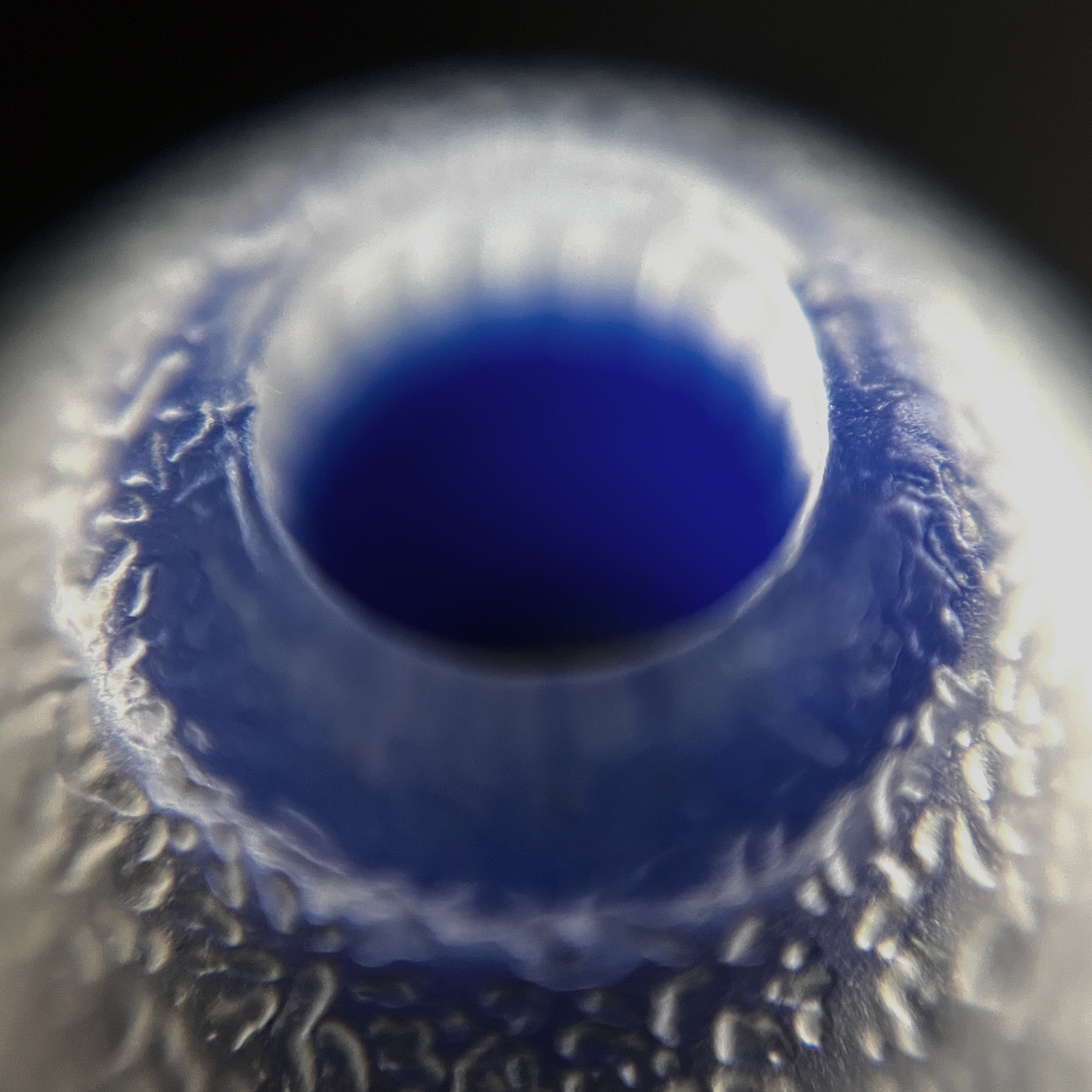 Close-up of a blue IEM tip with textured surface