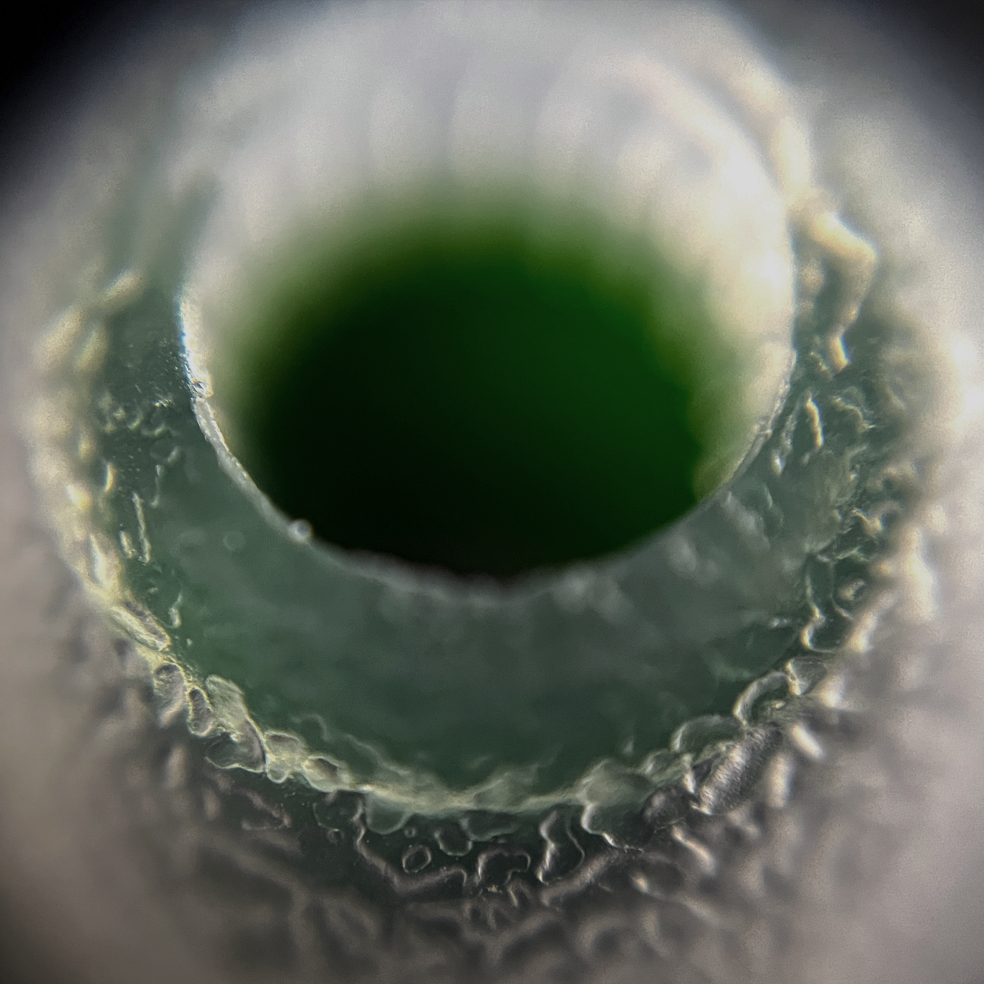 Close-up of a green IEM tip with textured surface