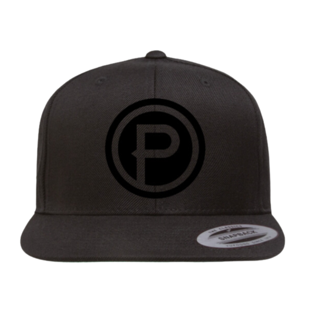 Black snackback hat with Plunge Audio logo in middle.