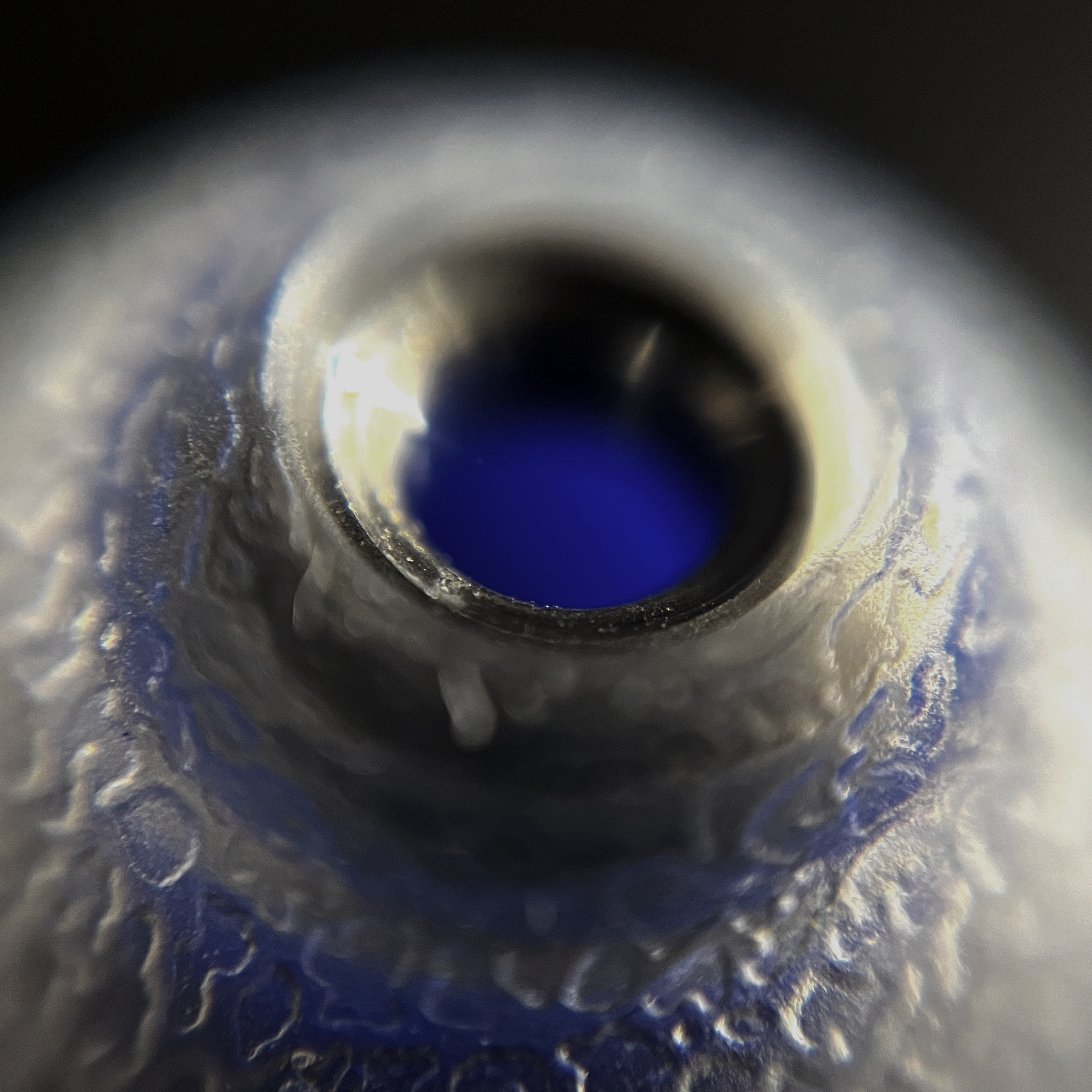 Close-up of an IEM tip with silver rim and blue body.