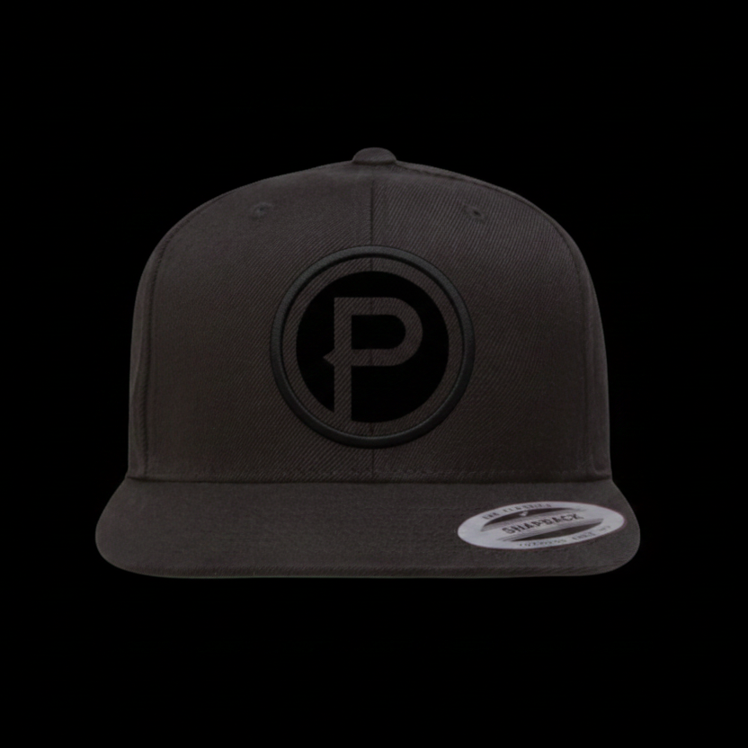 Black snackback hat with Plunge Audio logo in middle.